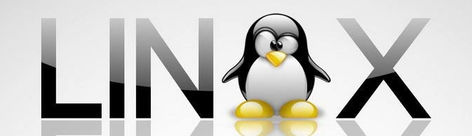 Nuevo ranking de distribuciones Linux